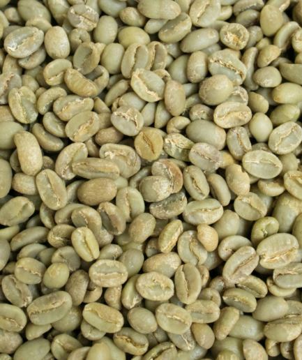 https://altoracoffee.com/ar/%d8%a7%d9%84%d8%b5%d9%81%d8%ad%d8%a9-%d8%a7%d9%84%d8%b1%d8%a6%d9%8a%d8%b3%d9%8a%d8%a9/